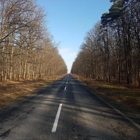 Appartement Genius Guest Unique *