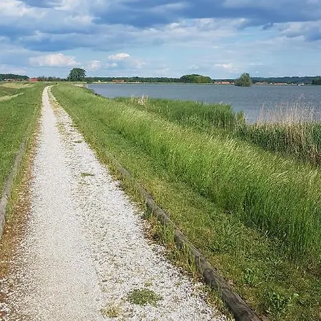 Genius Guest Unique Daire