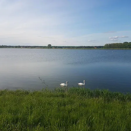 Genius Guest Unique * Banovci