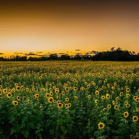 Apartamento Genius Guest Unique