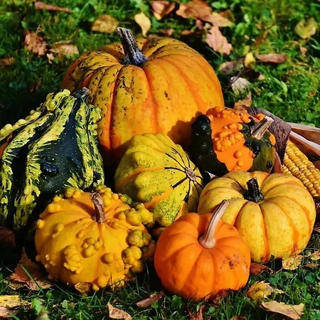 Genius Guest Unique Apartma Banovci