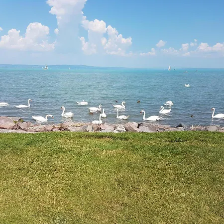 Genius Guest Unique Appartement *