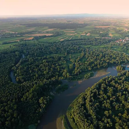 Genius Guest Unique *