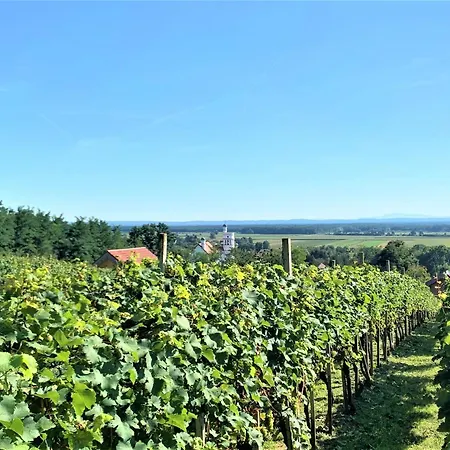 Genius Guest Unique * Banovci