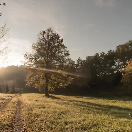 Genius Guest Unique Daire *