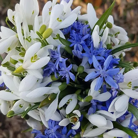 Appartement Genius Guest Unique