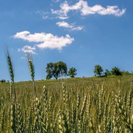 Appartement Genius Guest Unique *
