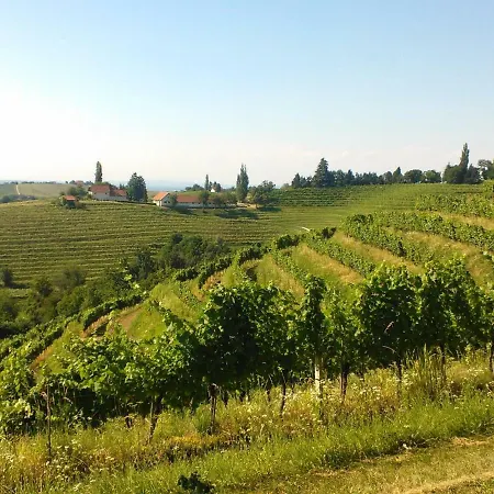 Genius Guest Unique * Banovci