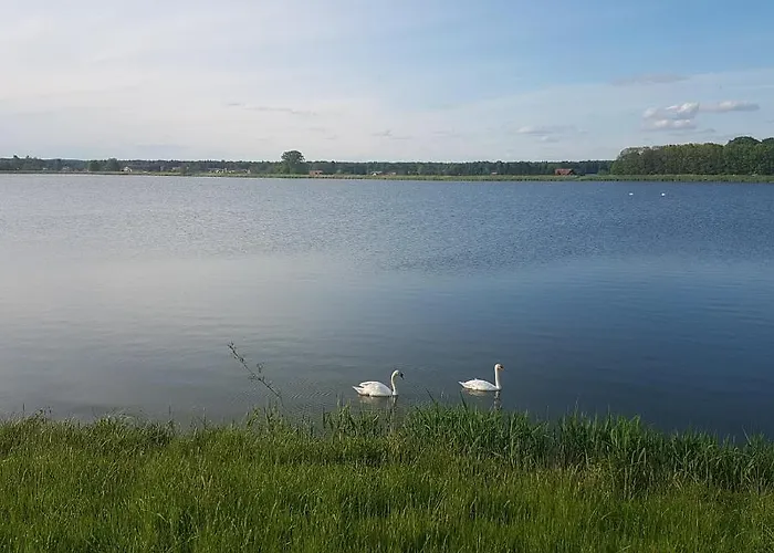 Genius Guest Unique * Banovci