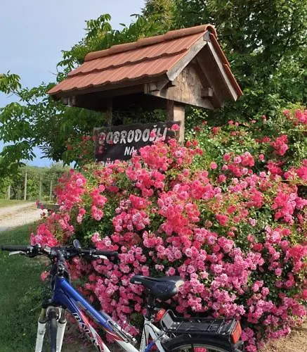 Genius Guest Unique Appartement *