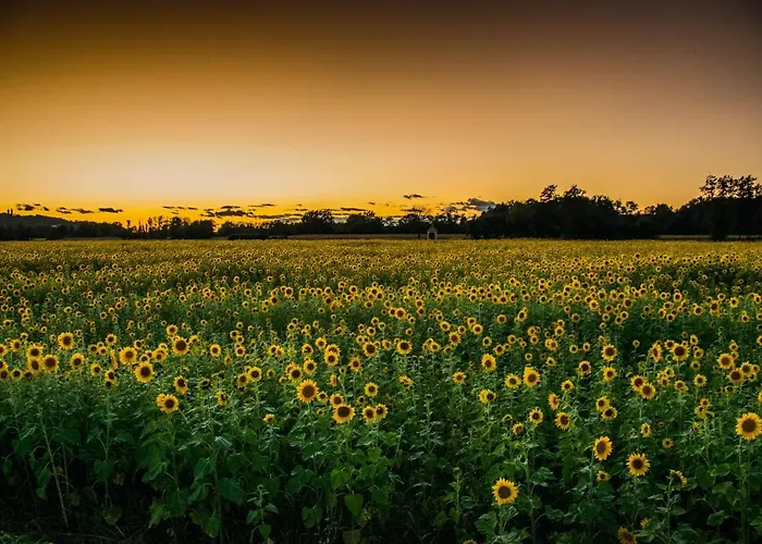 Апартаменты Genius Guest Unique