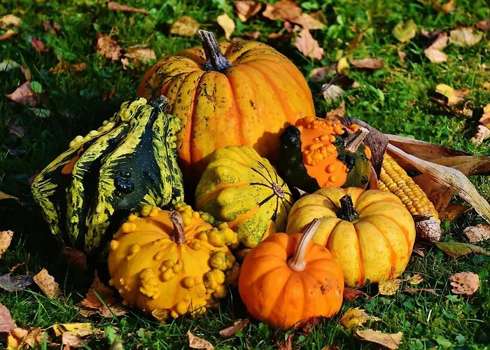 Genius Guest Unique Appartement Banovci