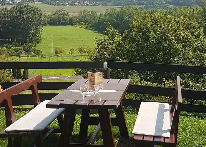 Genius Guest Unique Banovci