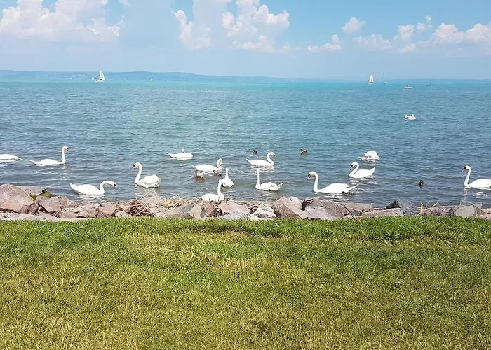 Genius Guest Unique Appartement *