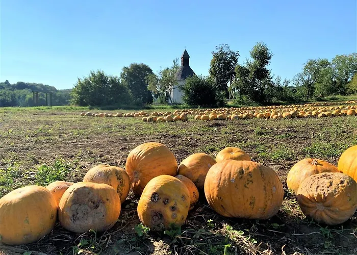Appartement Genius Guest Unique