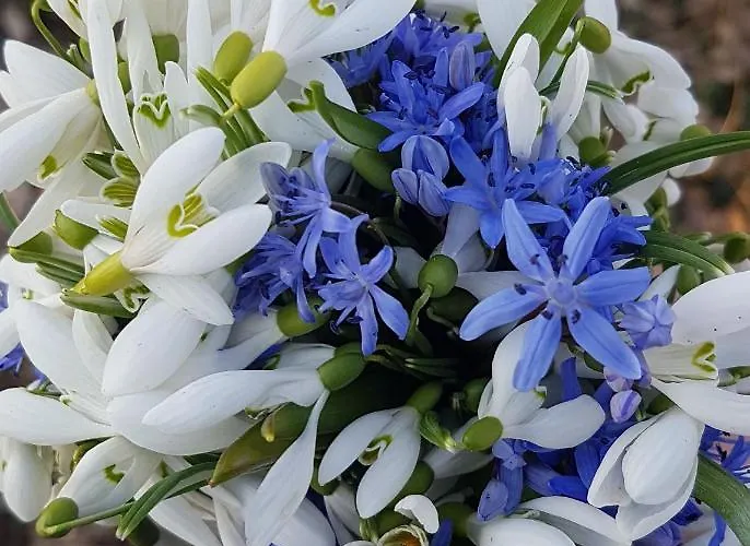 Appartement Genius Guest Unique