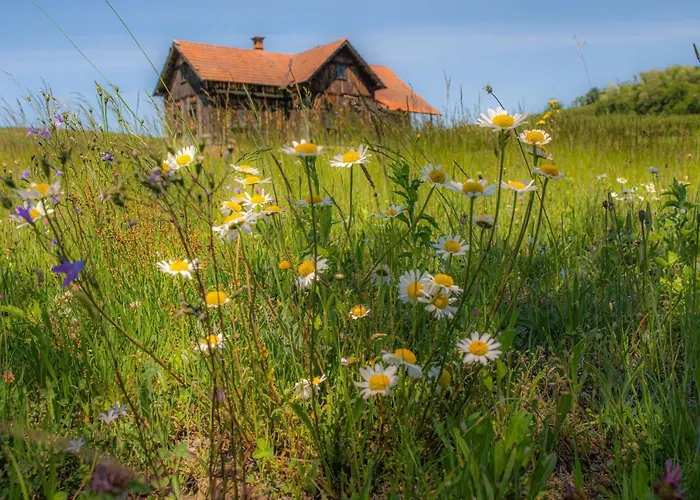 Genius Guest Unique * Banovci