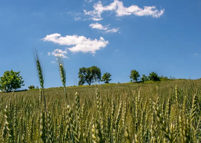 Апартаменты Genius Guest Unique *