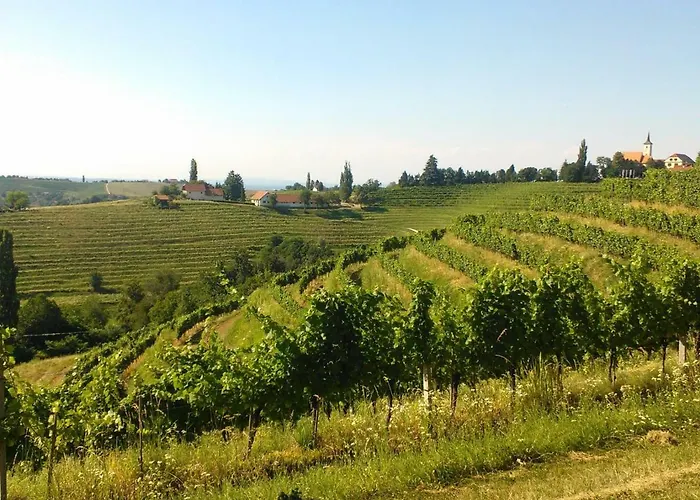 Genius Guest Unique * Banovci